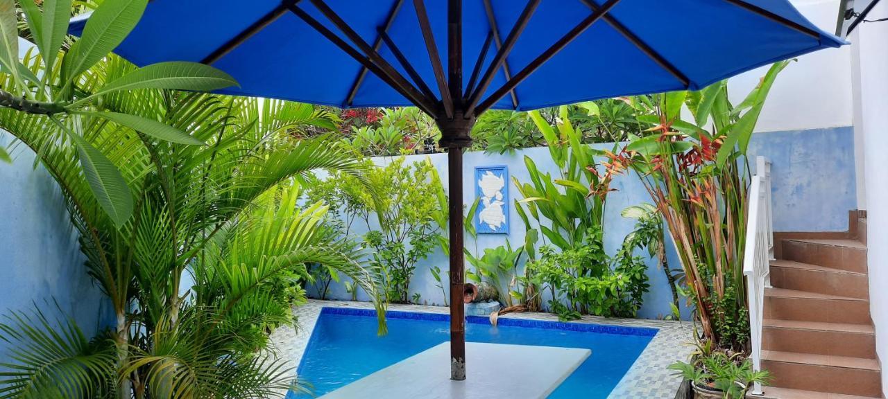 Turtle Island Homestay サヌール エクステリア 写真