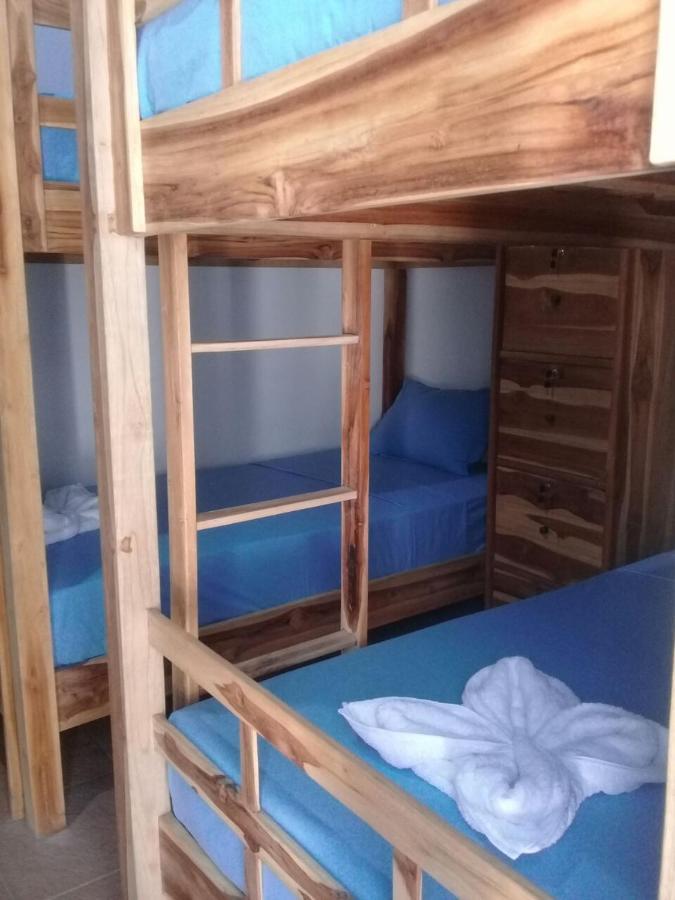 Turtle Island Homestay サヌール エクステリア 写真