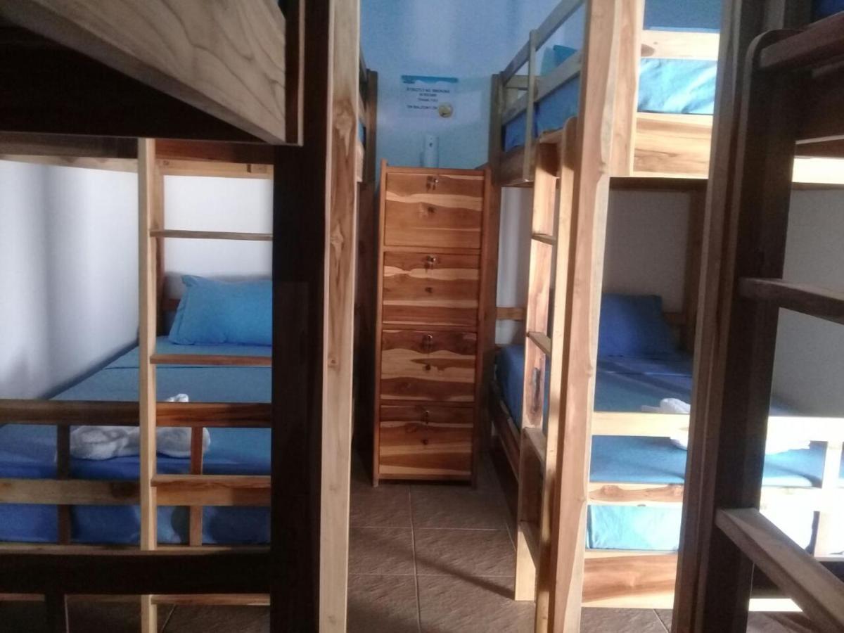 Turtle Island Homestay サヌール エクステリア 写真